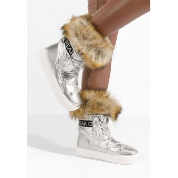 Apreschiuri dama Erenya argintii